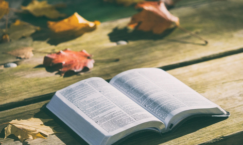 Image - Prier_bible.jpg